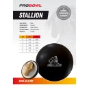 Probowl Black Stallion